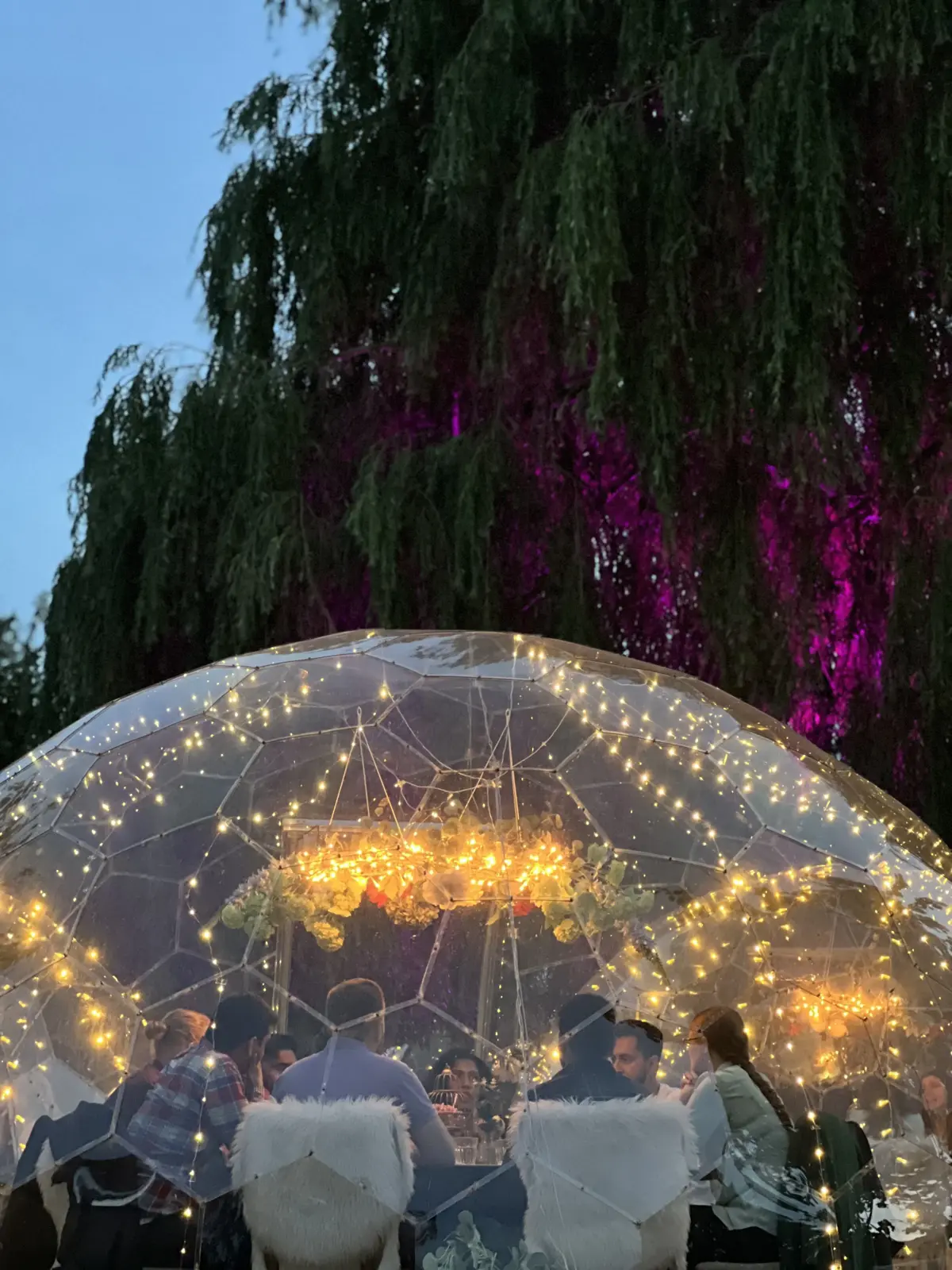 The Willow Tree (now known as BAMBOO SKY)