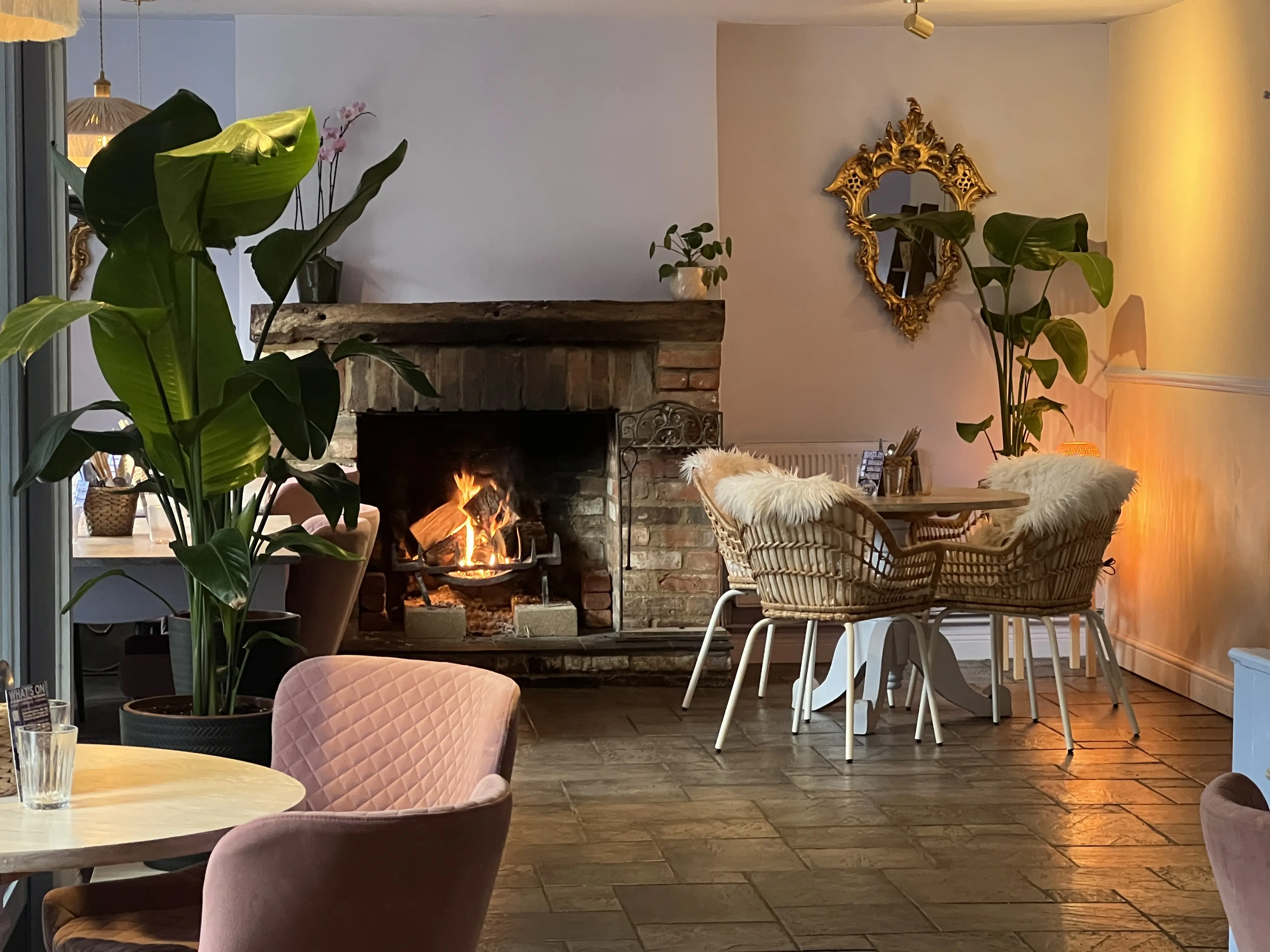 Bamboosky Christmas - View 4