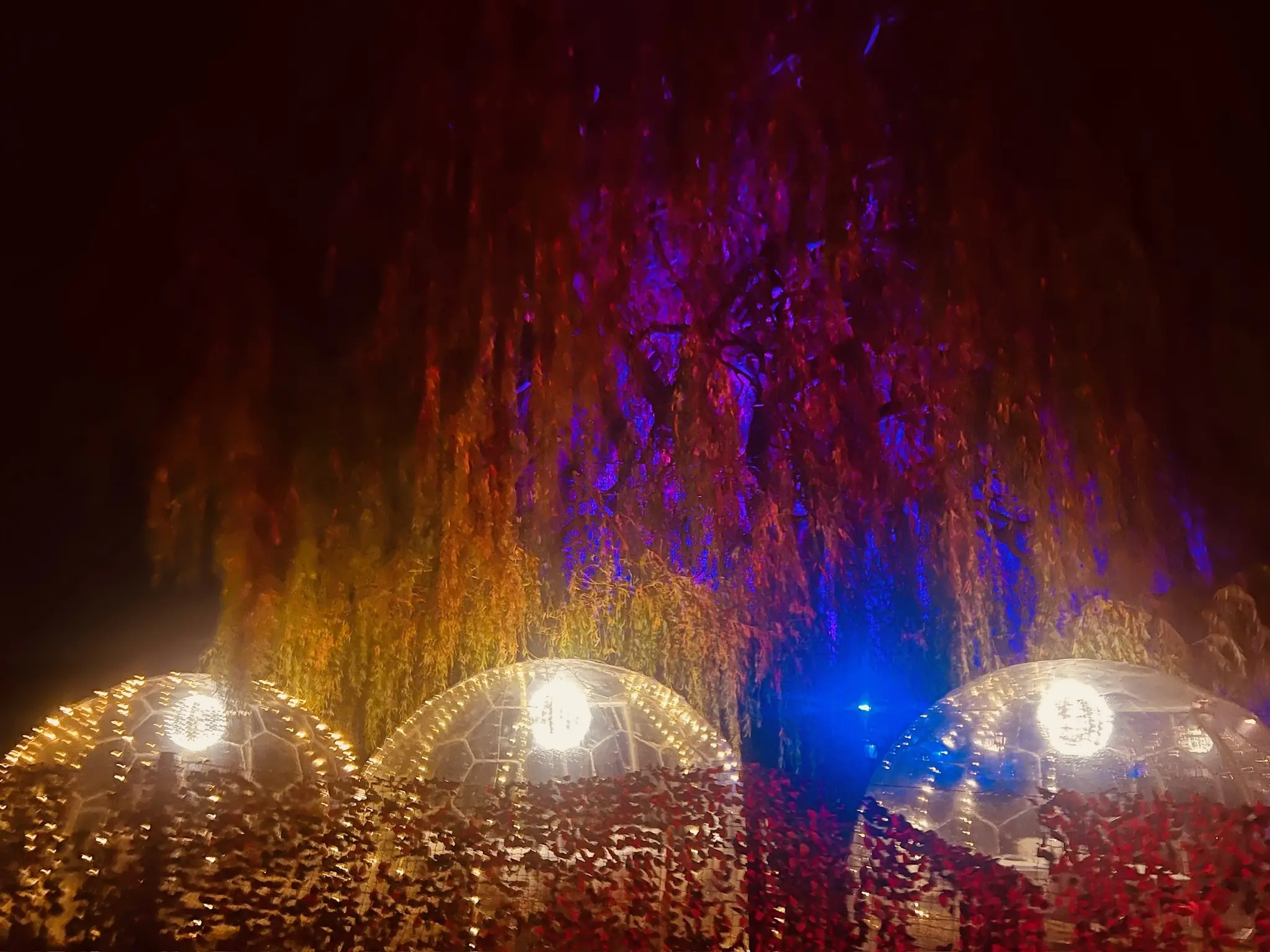 Bamboosky Christmas - View 1