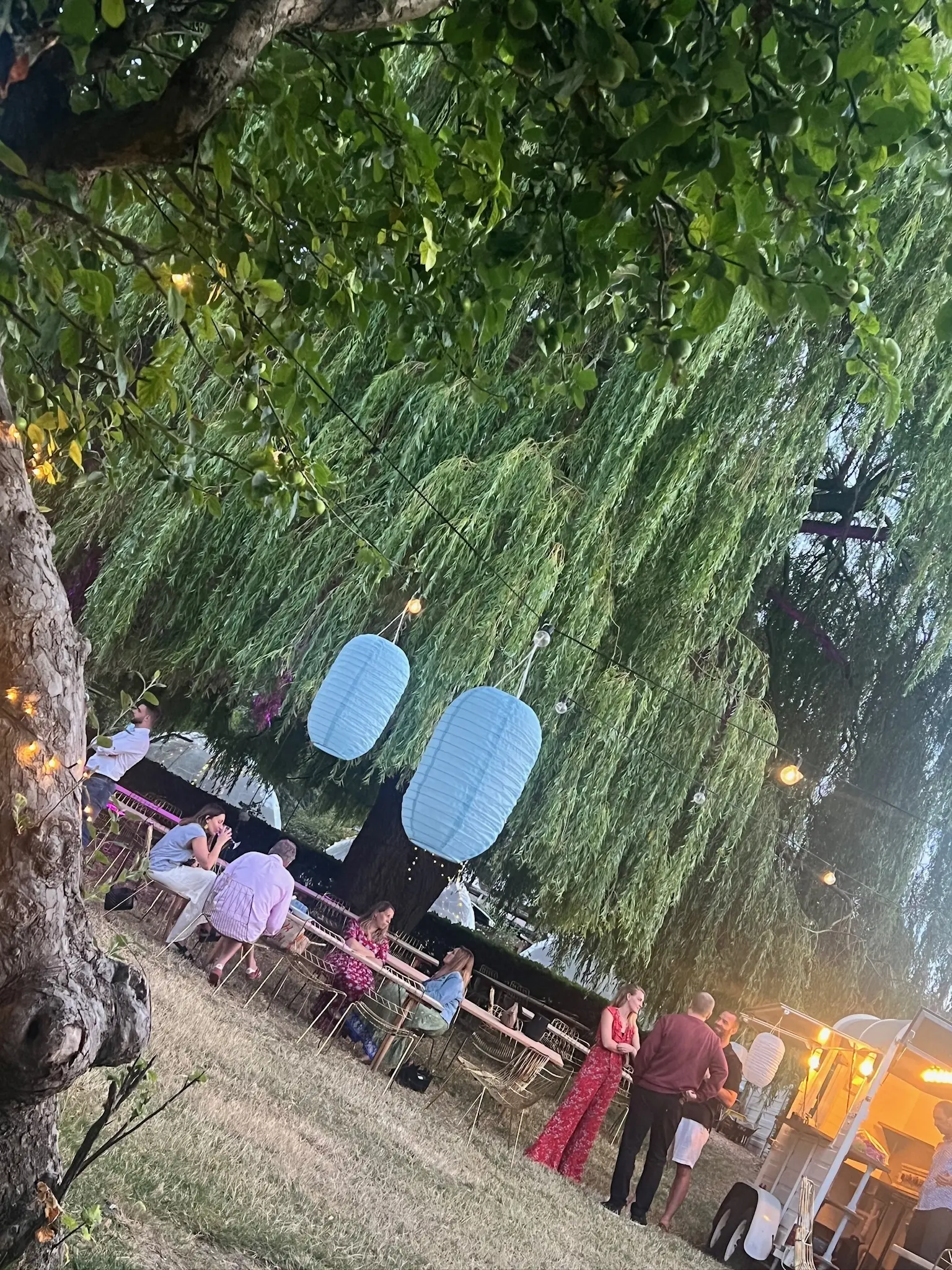 Garden dining under hanging lanterns at dusk
