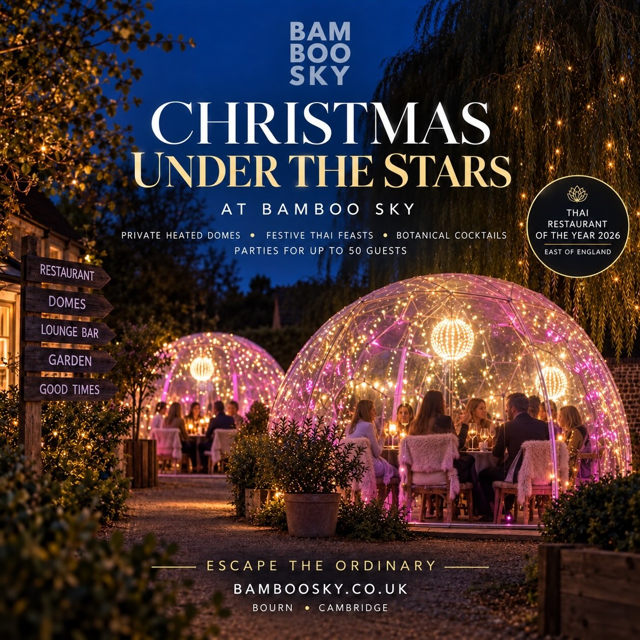 Bamboosky Christmas - View 4