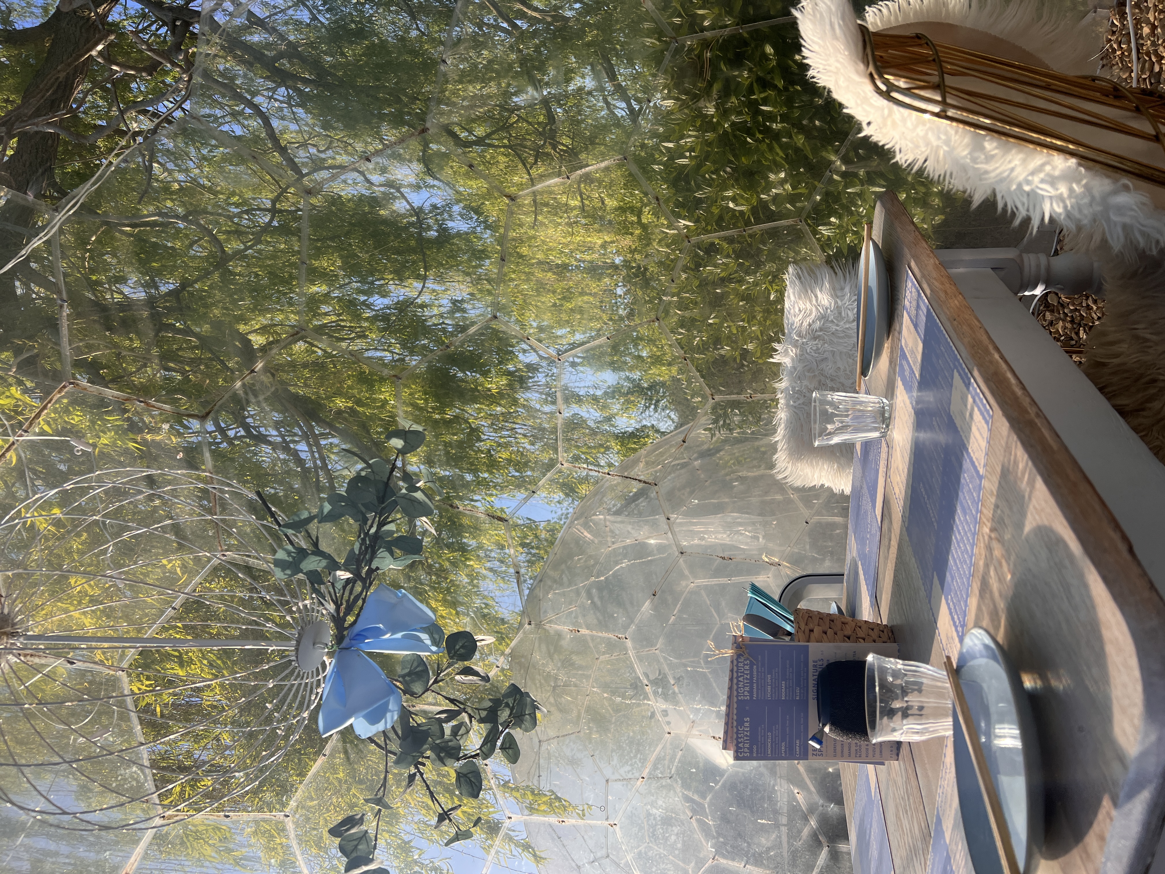 Bamboosky Dome Dining - View 1